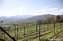 VBS_7444 - PressTour educational dedicato ai vini del Pinerolese e all’olio prodotto sulla collina di Pinerolo